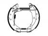 Bremsbackensatz Brake Shoe Set:4241.9F